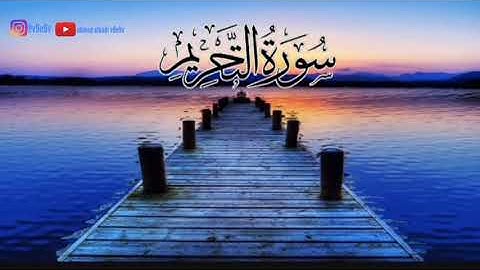 سورة التحريم شريف مصطفى