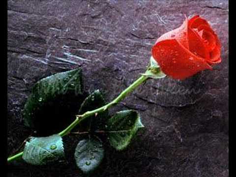 André Rieu - The Rose