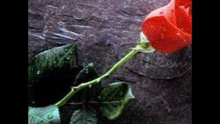 LeAnn Rimes - Some Say Love/The Rose