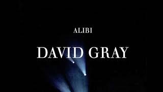 David Gray - Sacred Ground (Official Audio)