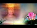 Buddhist Music Remove Negative Energy - BEST Buddha Meditation Song