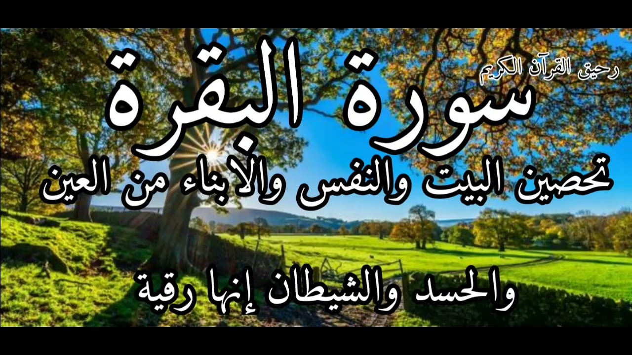 سورة البقرة لحفظ وتحصين المنزل وجلب البركة من أروع التلاواتSourah Baqara  #