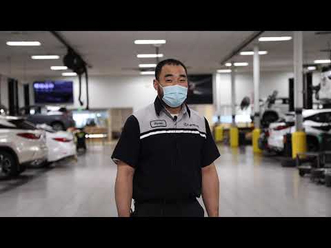 Lunar New year - Longo Lexus