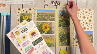 Sunflower Fields