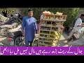 Birds Market Lalukhet Sunday Video Jaal Latest Update 7-12-25 