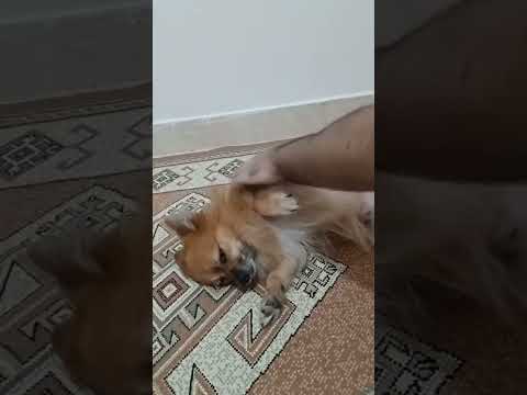 ۲۱ اکتبر ۲۰۲۴