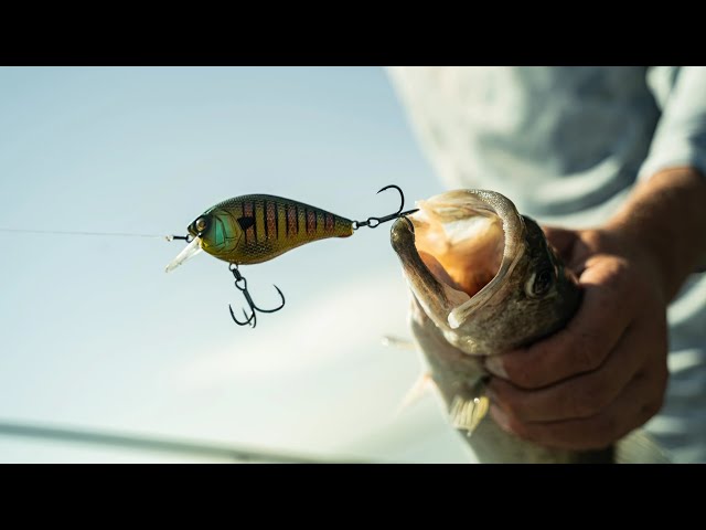 best dobyns squarebill rod Sierra Series Casting Cancer and Reproductive Harm Dobyns Kaden KD 610 -