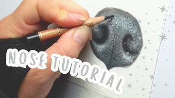 Learn to draw dog nose | A colored pencil pet portrait feature guide