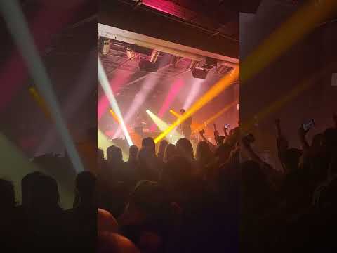 Igorrr-'Camel Dancefloor' live