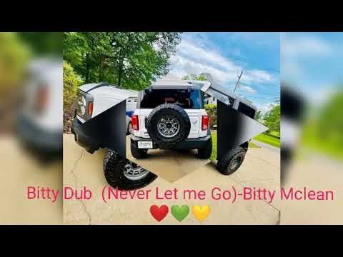 Bitty Dub  (Never Let me Go)-Bitty Mclean❤️💚💛