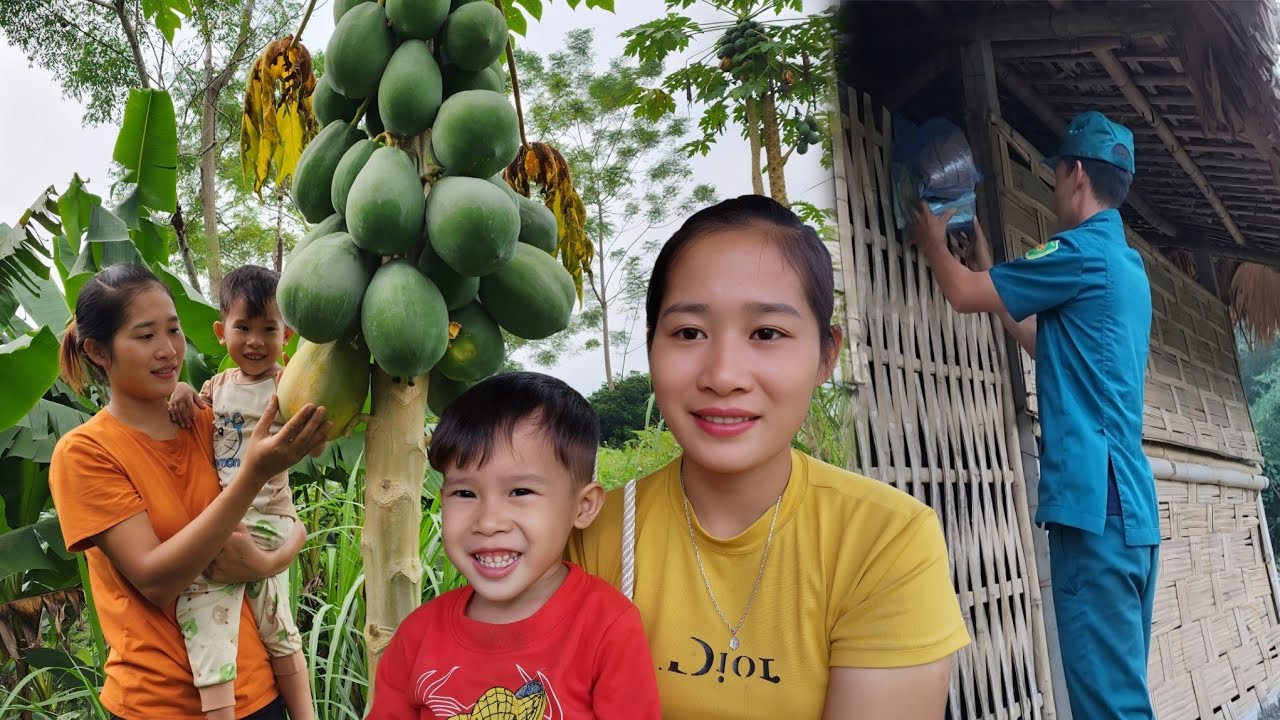 Single mother went to harvest cucumbers and papayas to sell at the ...
