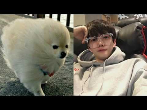 [everysing] Why Don't You Know (Feat. 넉살)