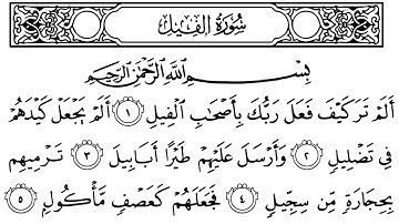 سورة الفيل مكتوبة || سورة رقم 105