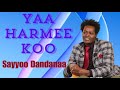 Sayyoo Dandanaa Yaa Jorroo Koo Old Oromo Music Sayyoo Dandanaa Yaa Jorroo Koo Old Oromo Music