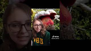 Devil's Bolete