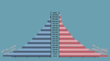 How to use population pyramids