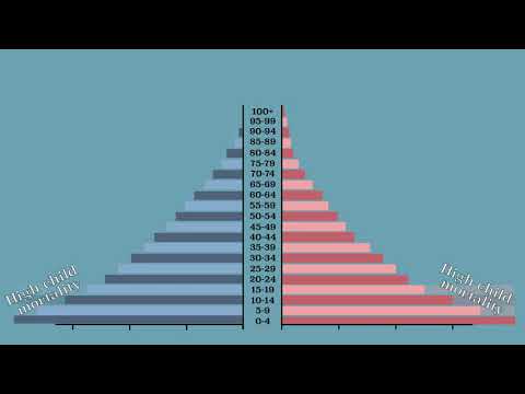 Video: Age pyramids: types and types of age structures