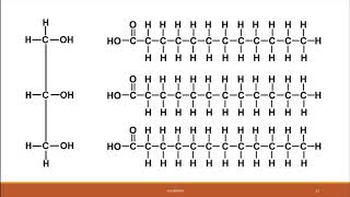 BIO 100   Chapter 2 Part 2