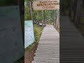 Красноярск! Бобровый лог! Отдых 9