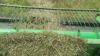 Using Combine and Pick Up Head on Organic Wheat Swaths