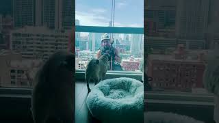 Another Day On The Job Part 02