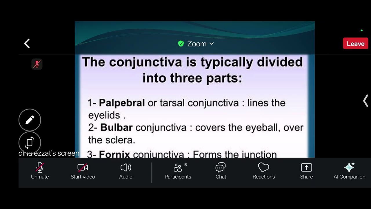 Conjunctiva diseases ( Medicine )