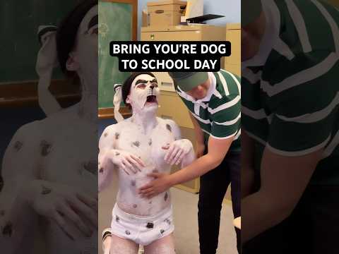 No way that's a dog #dogsofyoutube #shorts #comedy #skit #school