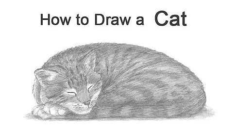 How to Draw a Cat Sleeping