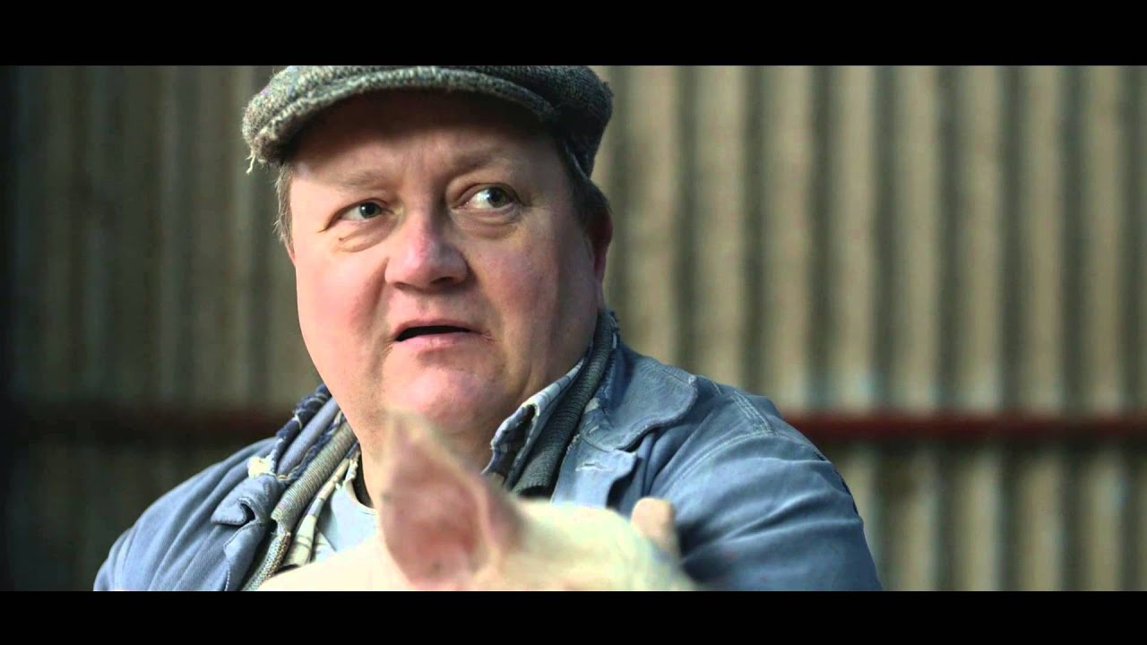 BOXER - Frihed til dit tv - Svinestald