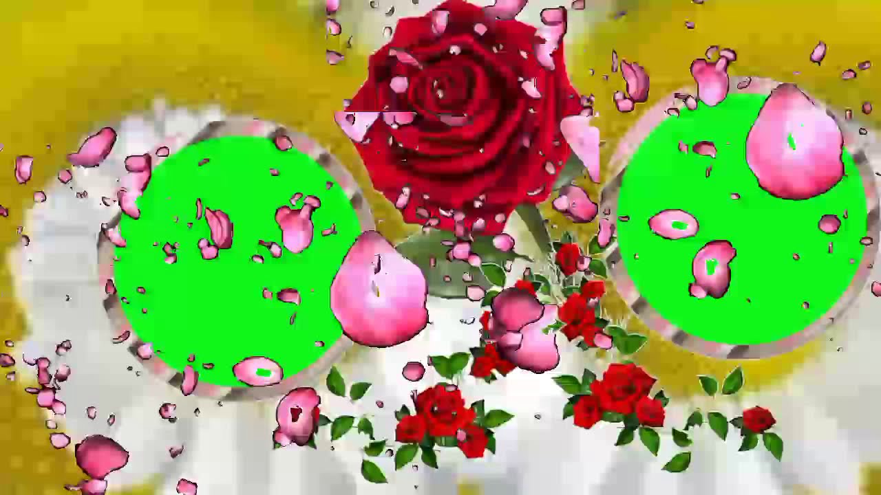 Green screen background flower animation effects wedding video (48) Shaadi video frame tech vfx