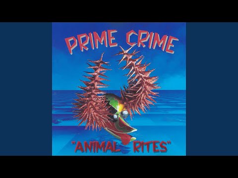 Prime Crime — We Don't Know Why