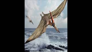 my pet pterodactyl