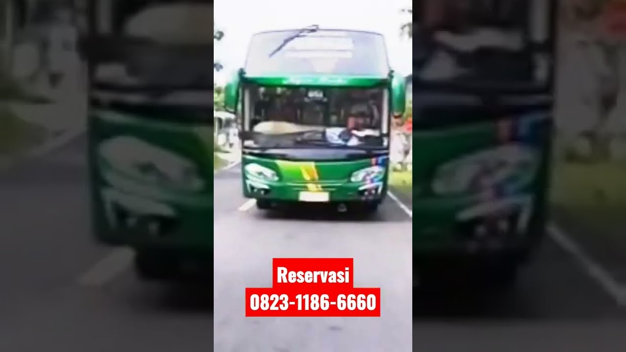 Di Balik Roda Arjuna Samba: Kisah Sukses dan Tantangan Sang Empu Pariwisata