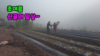 Real country life in Korea