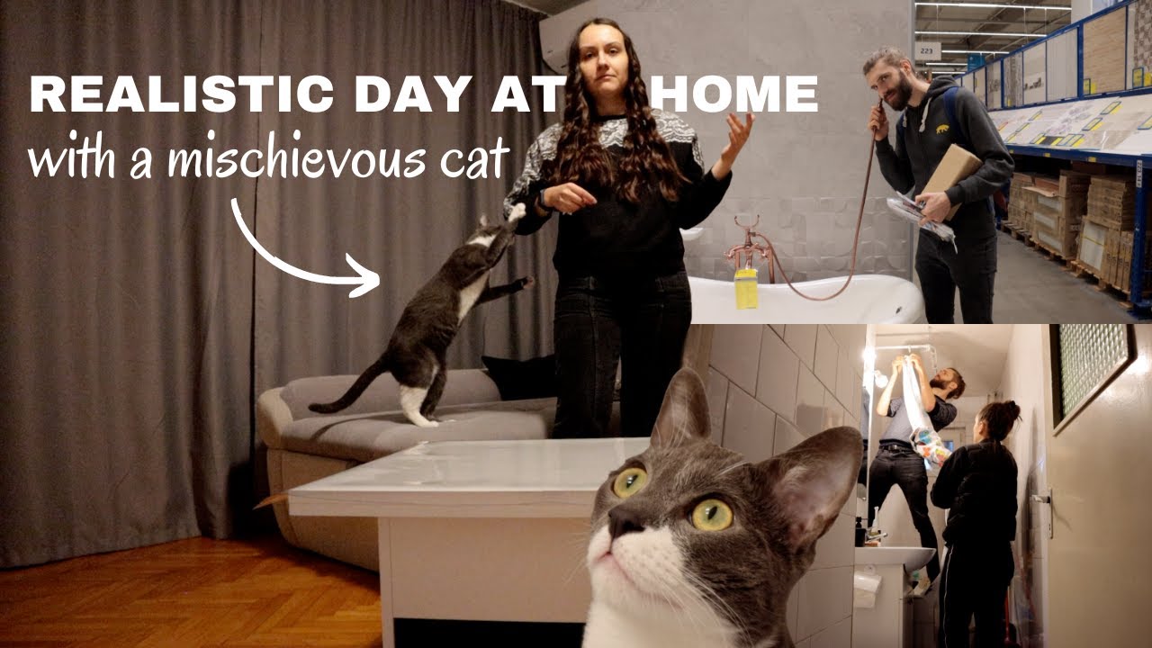 Realistic day at home with a mischievous cat | shopping & bathroom disaster