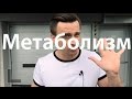 Как узнать свой Метаболизм