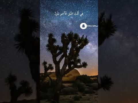 وقد روى الثقات عن خير الملا بصوت د عمر الغبيوي