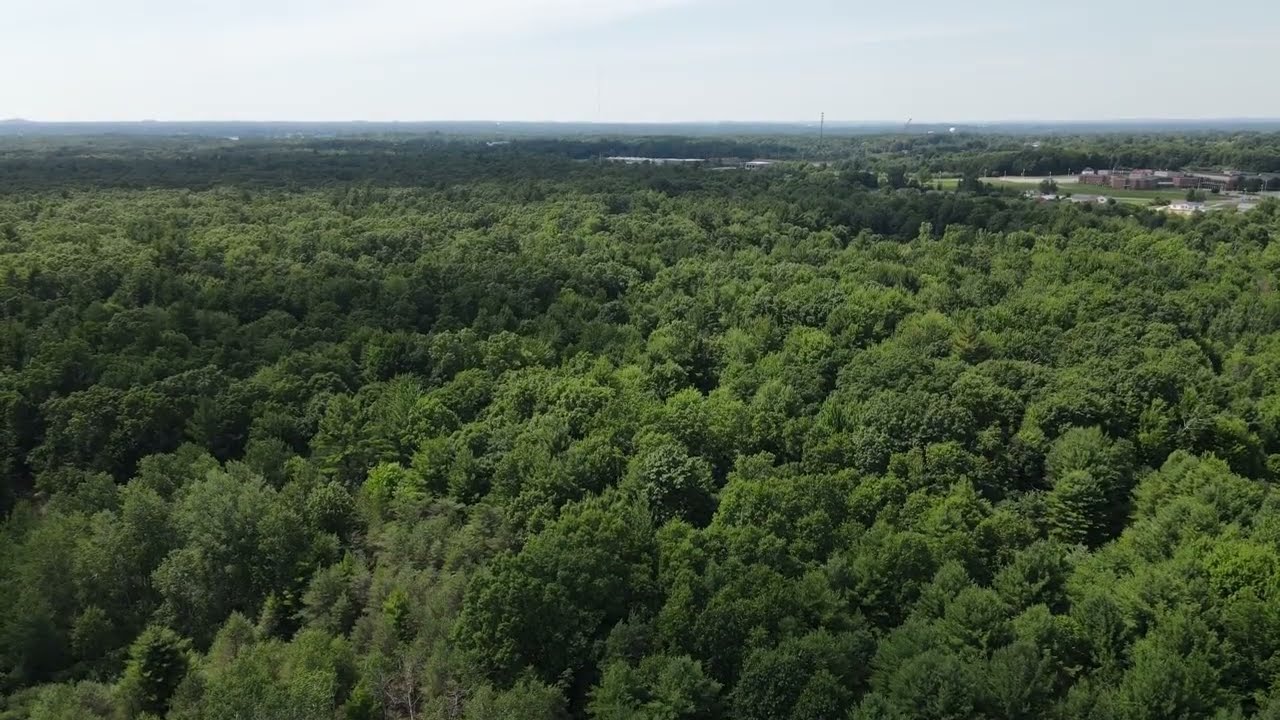 This is what 60 acres of private land for 1.65 Million looks like in Whitehall, MI!