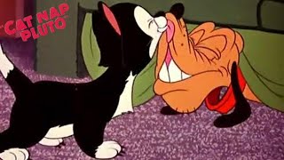 Cat Nap Pluto 1948 Disney Pluto And Figaro Cartoon Short Film Charles A. Nichols Film Review