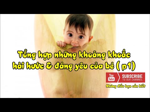 Tổng hợp những