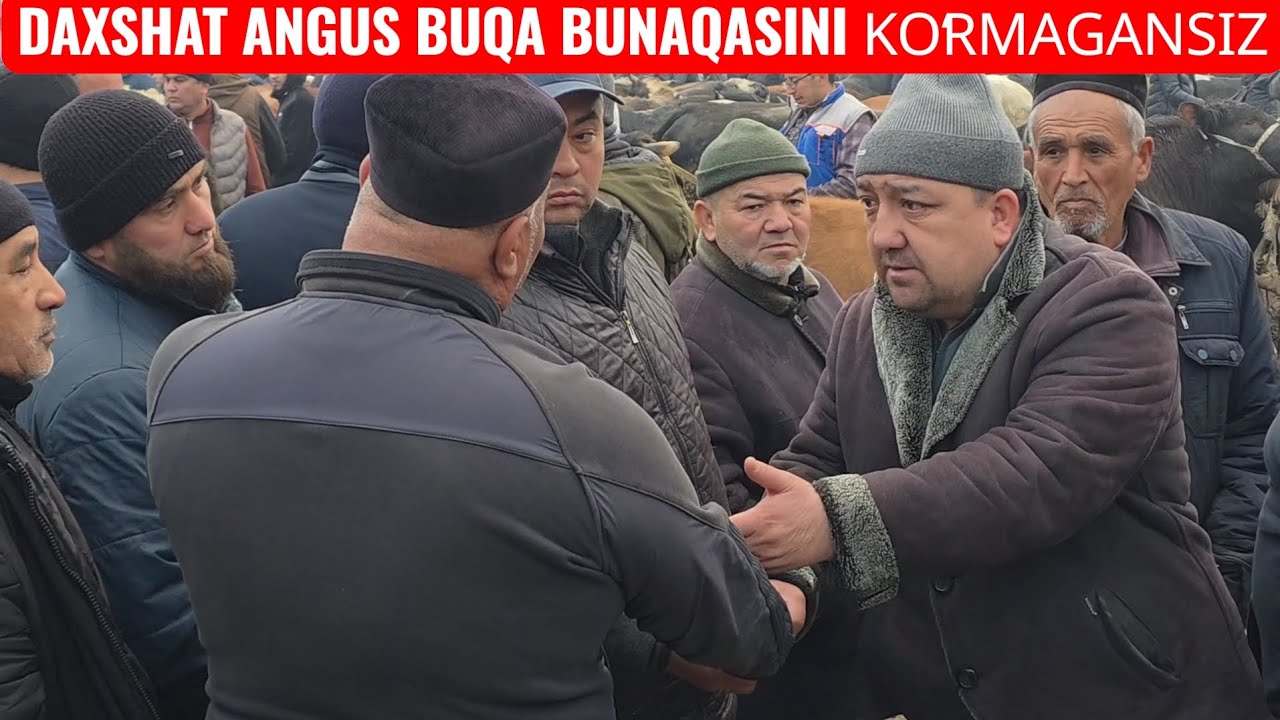 ANGUS SAVDOSI MANA QANDAY BUQA BOQISH KK AND BN TANSHING 👍👍