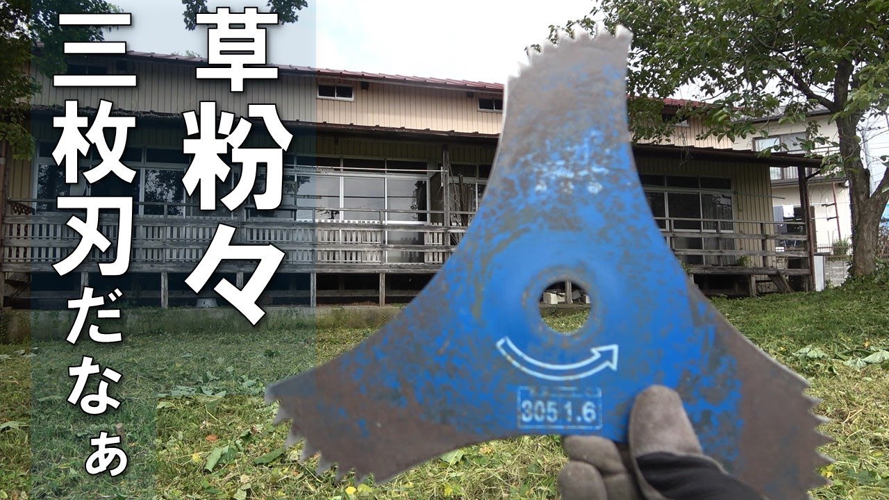 藪になる前の草刈り、ツムラ山林三枚刃は安定した作業性 - YouTube