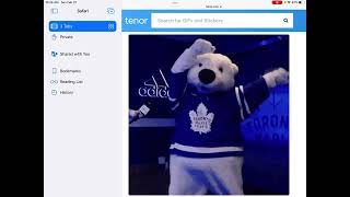 Leafs win gif