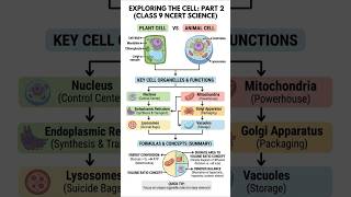 CLASS 9 SCIENCE NCERT CHAPTER The Cell NOTES #Shorts #Class9 #Science