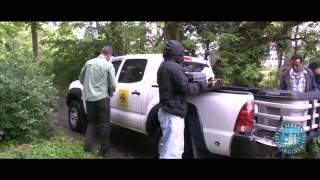 Mosquito Control - Fight the Bite