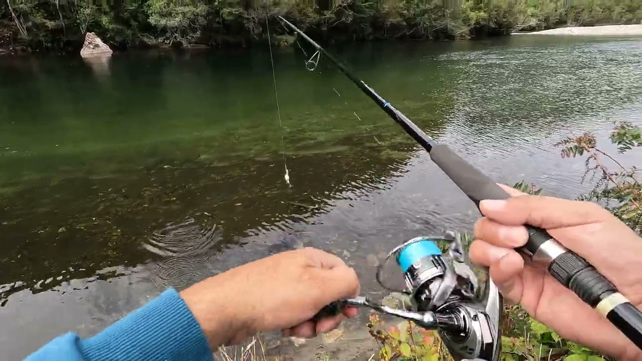 Pesca en rio Cochamo