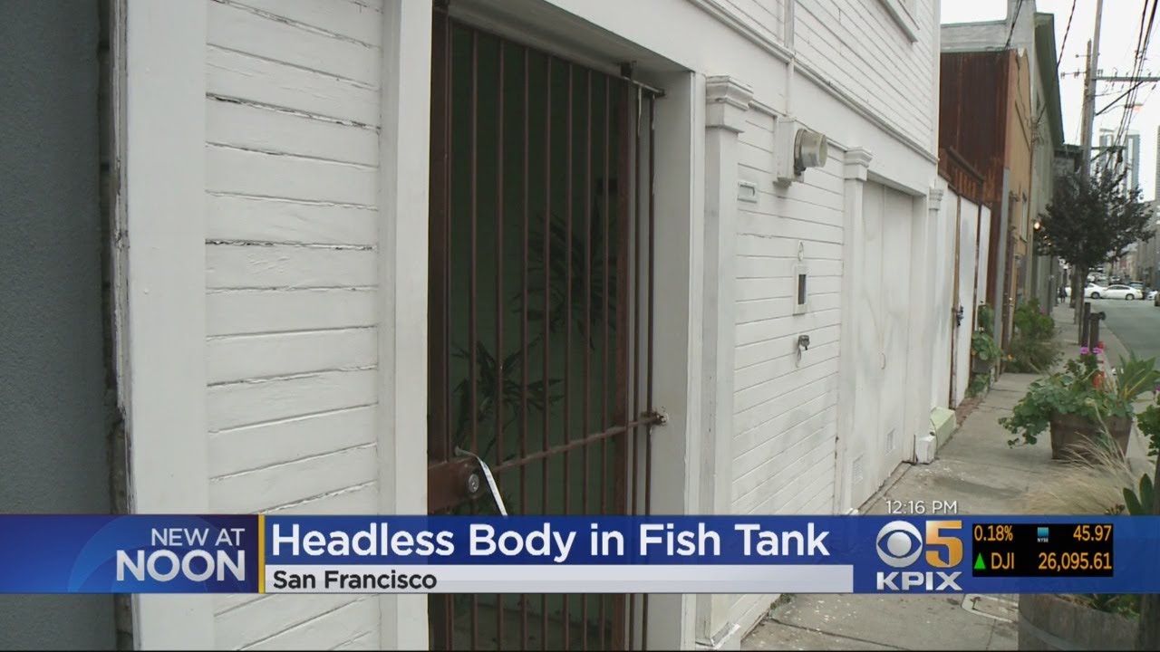 GRUESOME DISCOVERY A headless corpse discovered in a fish tank inside
