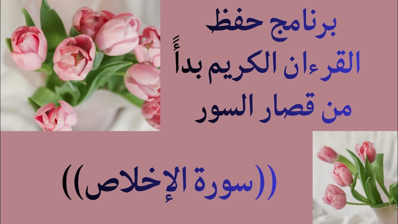 سورة الإخلاص للمبتدئين بطريقة سهلة 