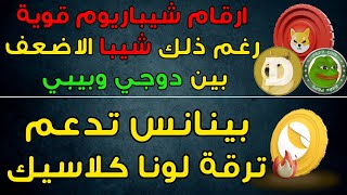 عملة SHIB شيبا الاسوأ بين Doge و PEPE رغم ارقام شيباريوم | بينانس تدعم ترقية لونا كلاسيك LUNC