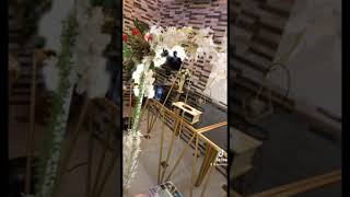 Download Lagu Albi ya albi | tiktok video | قلبي يا قلبي نانسي MP3